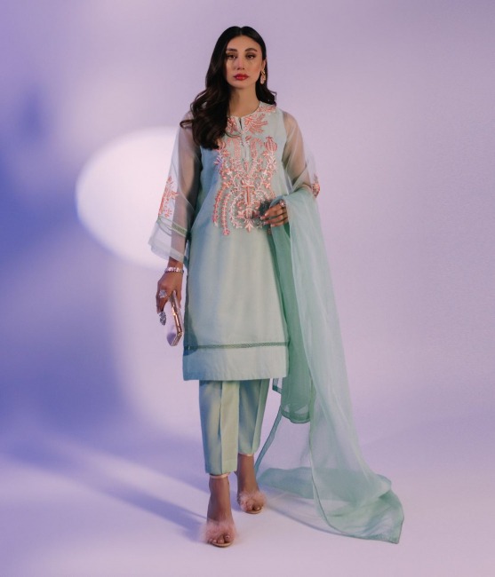 Embroidered Green Cotton Net Suit