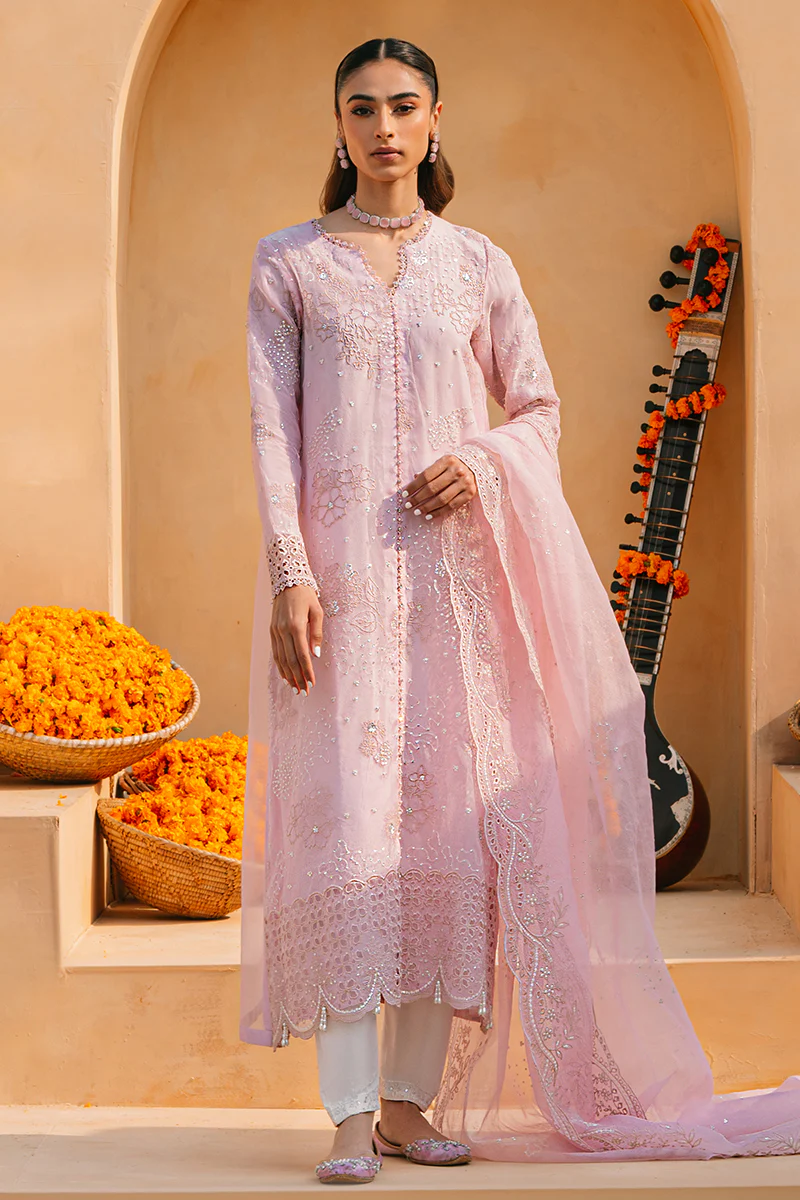 2 Pc Organza Embroidered Suit